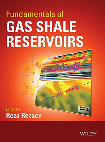 9781118645796: Fundamentals of Gas Shale Reservoirs