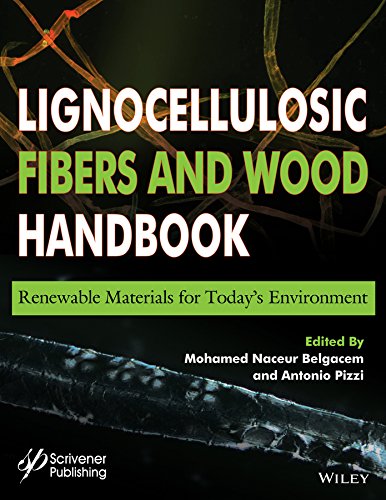 Imagen de archivo de Lignocellulosic Fibers And Wood Handbook Renewable Materials for Today's Environment a la venta por Basi6 International