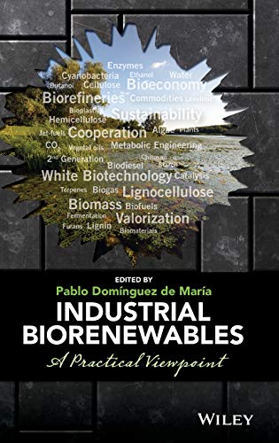 Imagen de archivo de Industrial Biorenewables A Practical Viewpoint a la venta por Basi6 International