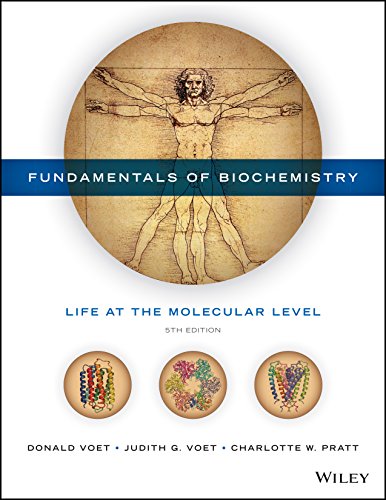 Imagen de archivo de Fundamentals of Biochemistry: Life at the Molecular Level a la venta por Bulrushed Books