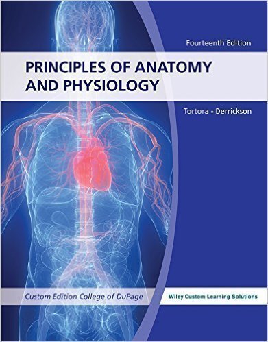 Stock image for Principles of Anatomy and Physiology 14e with Brief Atlas of The Skeleton and Surface Anatomy. ACCESS CODE NOT INCLUDED. USED BUT IN VERY GOOD CONDITION. INSTANT Local pick up or delivery for sale by HPB-Red