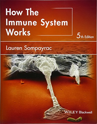 Stock image for How the Immune System Works (The How it Works Series) for sale by HPB-Red