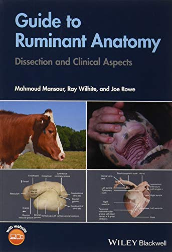 Imagen de archivo de Guide To Ruminant Anatomy: Dissection And Clinical Aspects a la venta por Books Puddle