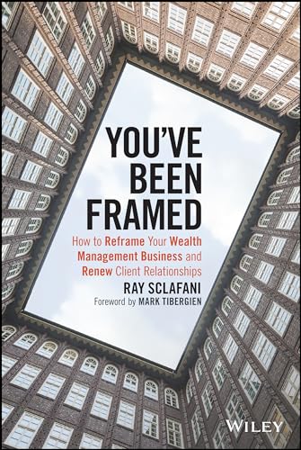 Stock image for Youve Been Framed: How to Reframe Your Wealth Management Business and Renew Client Relationships for sale by Zoom Books Company
