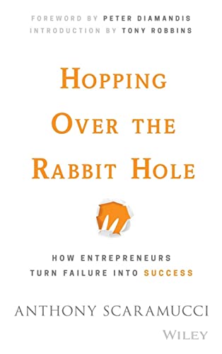 9781119116332: Hopping over the Rabbit Hole: How Entrepreneurs Turn Failure into Success