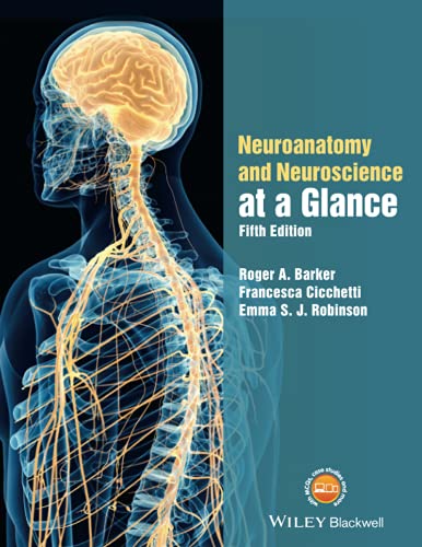 Beispielbild fr Neuroanatomy and Neuroscience at a Glance zum Verkauf von BooksRun