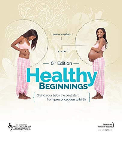 Beispielbild fr Healthy Beginnings : Giving Your Baby the Best Start, from Preconception to Birth zum Verkauf von Better World Books