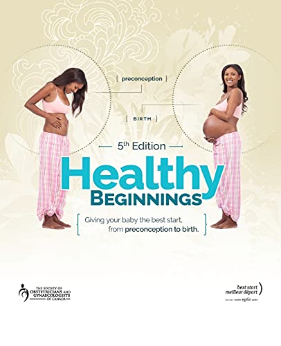 Stock image for Healthy Beginnings Giving Your Baby the Best Start, from Preconception to Birth for sale by TextbookRush