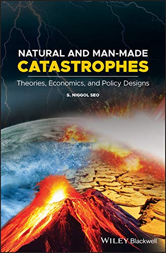 Stock image for Natural and Man-Made Catastrophes: Theories, Economics, and Policy Designs for sale by Ria Christie Collections