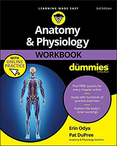Stock image for Anatomy and Physiology Workbook For Dummies, with Format: Paperback/Online Application for sale by INDOO