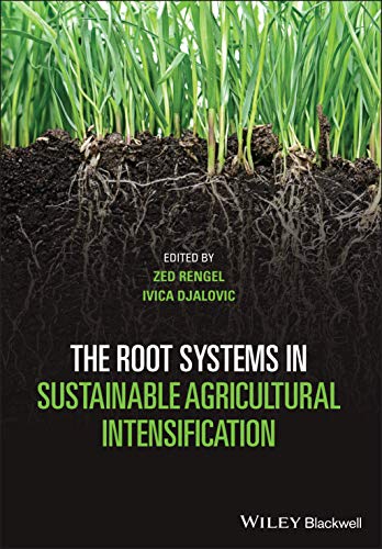 Stock image for The Root Systems in Sustainable Agricultural Intensification for sale by Ammareal