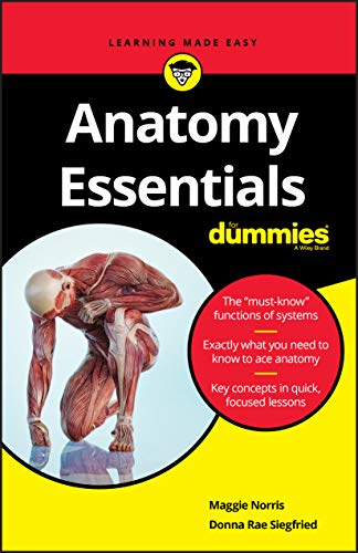 Beispielbild fr Anatomy Essentials for Dummies zum Verkauf von ThriftBooks-Atlanta