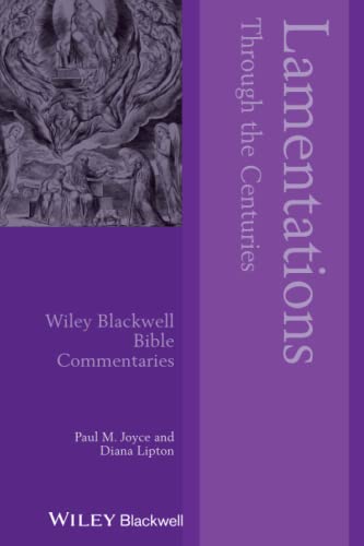 Beispielbild fr Lamentations Through the Centuries zum Verkauf von Blackwell's