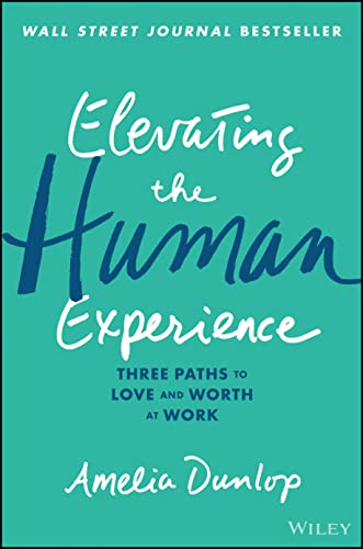 Stock image for Elevating the Human Experience: Three Paths to Love and Worth at Work for sale by SecondSale