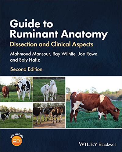 Stock image for Guide to Ruminant Anatomy: Dissection and Clinical Aspects for sale by Studibuch