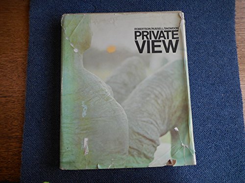 Imagen de archivo de Private View: The Lively World of British Art a la venta por Books From California