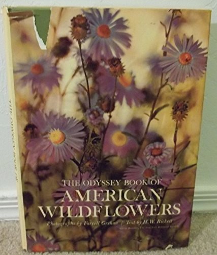 Stock image for The Odyssey book of American wildflowers for sale by HPB-Emerald