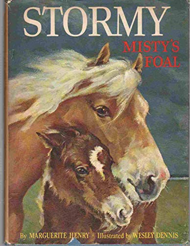 9781127535637: Stormy, Misty's foal