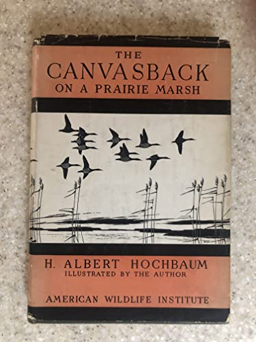 9781127552931: The canvasback on a prairie marsh,