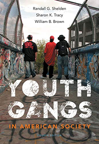 Beispielbild fr Youth Gangs in American Society zum Verkauf von BooksRun