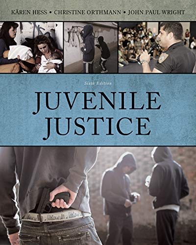 9781133049623: Juvenile Justice