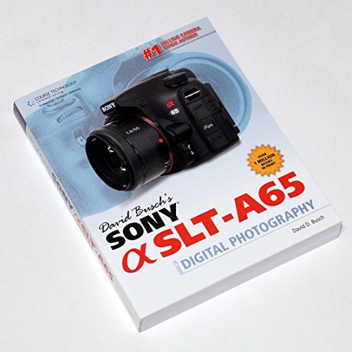 Stock image for David Busch's Sony Alpha SLT-A65 Guide to Digital Photography (David Busch's Digital Photography Guides) for sale by Bahamut Media