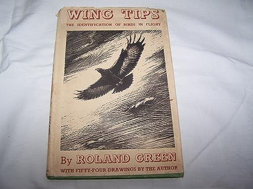 9781135285982: Wing Tips: The Identification of Birds in Flight