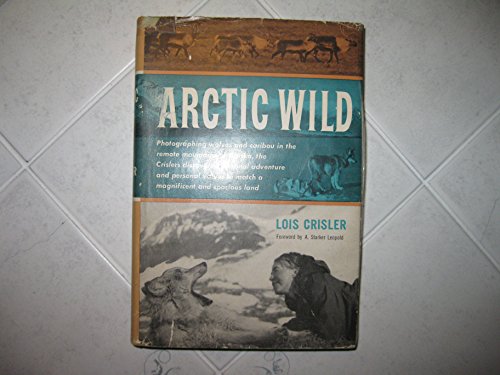 9781135839185: Arctic Wild