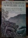 Stock image for A Welsh Eye for sale by Vashon Island Books