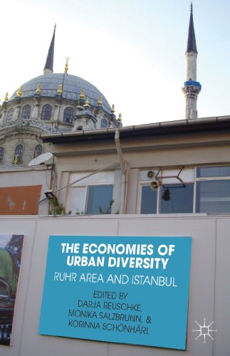 9781137346506: The Economies of Urban Diversity: The Ruhr Area and Istanbul