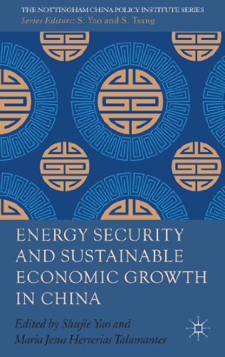 Stock image for Energy Security and Sustainable Economic Growth in China (The Nottingham China Policy Institute Series) for sale by Poverty Hill Books
