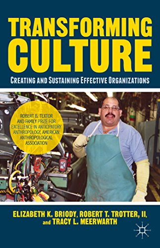 Beispielbild fr Transforming Culture : Creating and Sustaining Effective Organizations zum Verkauf von Better World Books