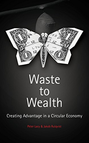 Beispielbild fr Waste to Wealth: The Circular Economy Advantage zum Verkauf von AwesomeBooks