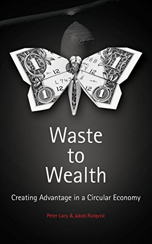 Imagen de archivo de Waste to Wealth: The Circular Economy Advantage a la venta por Zoom Books Company