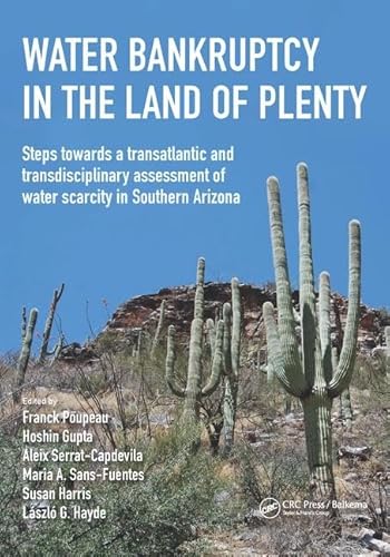 9781138029699: Water Bankruptcy in the Land of Plenty (IHE Delft Lecture Note Series)