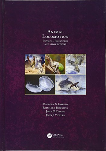 Stock image for Animal Locomotion: Physical Principles and Adaptations for sale by Revaluation Books