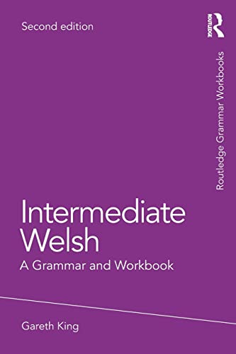 Stock image for Intermediate Welsh (Grammar Workbooks) for sale by Chiron Media