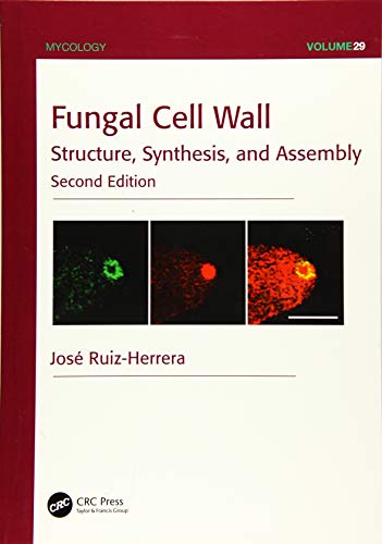 Beispielbild fr Fungal Cell Wall zum Verkauf von Blackwell's