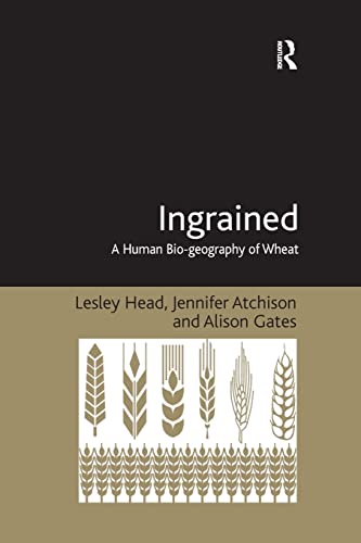 Stock image for Ingrained: A Human Bio-Geography of Wheat for sale by Chiron Media