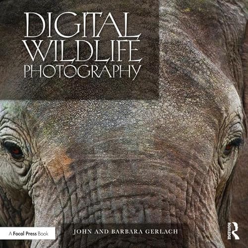 Stock image for Digital Wildlife Photography for sale by ThriftBooks-Atlanta