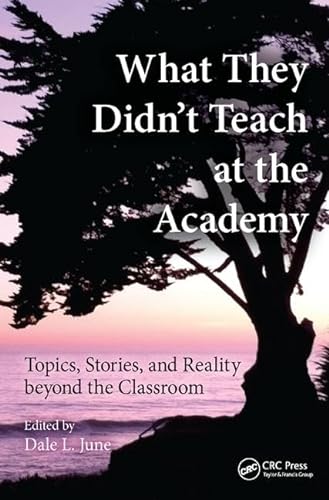 Imagen de archivo de What They Didn't Teach at the Academy: Topics, Stories, and Reality beyond the Classroom a la venta por Chiron Media