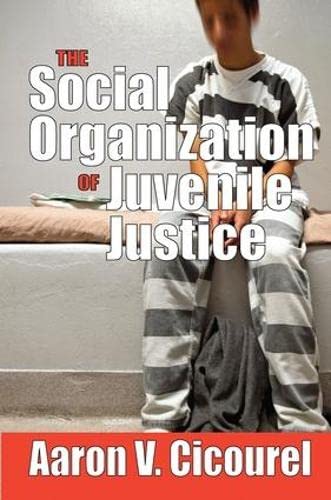 Stock image for The Social Organization of Juvenile Justice for sale by Chiron Media