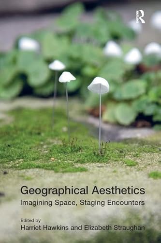 Stock image for Geographical Aesthetics for sale by Blackwell's