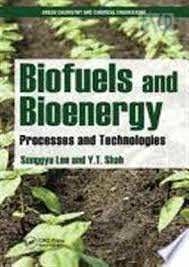 Stock image for Biofuels And Bioenergy Processes And Technologies (Hb 2018) (Special Indian Edition) for sale by Kanic Books