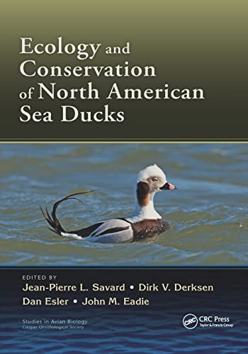 Beispielbild fr Ecology and Conservation of North American Sea Ducks zum Verkauf von Revaluation Books