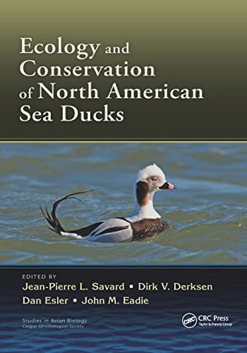 Stock image for Ecology and Conservation of North American Sea Ducks for sale by Blackwell's