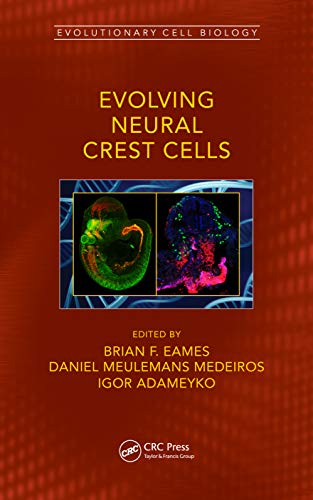 Beispielbild fr Evolving Neural Crest Cells zum Verkauf von Blackwell's