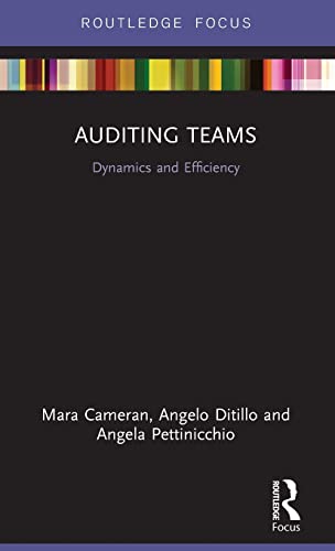 Stock image for Auditing Teams for sale by Blackwell's