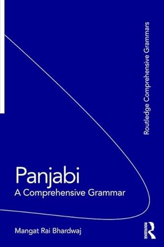 9781138793866: Panjabi: A Comprehensive Grammar