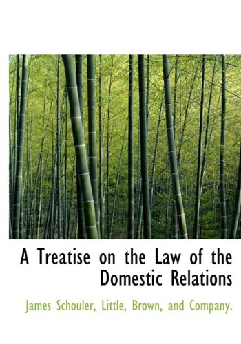 A Treatise on the Law of the Domestic Relations (9781140299028) by Schouler, James